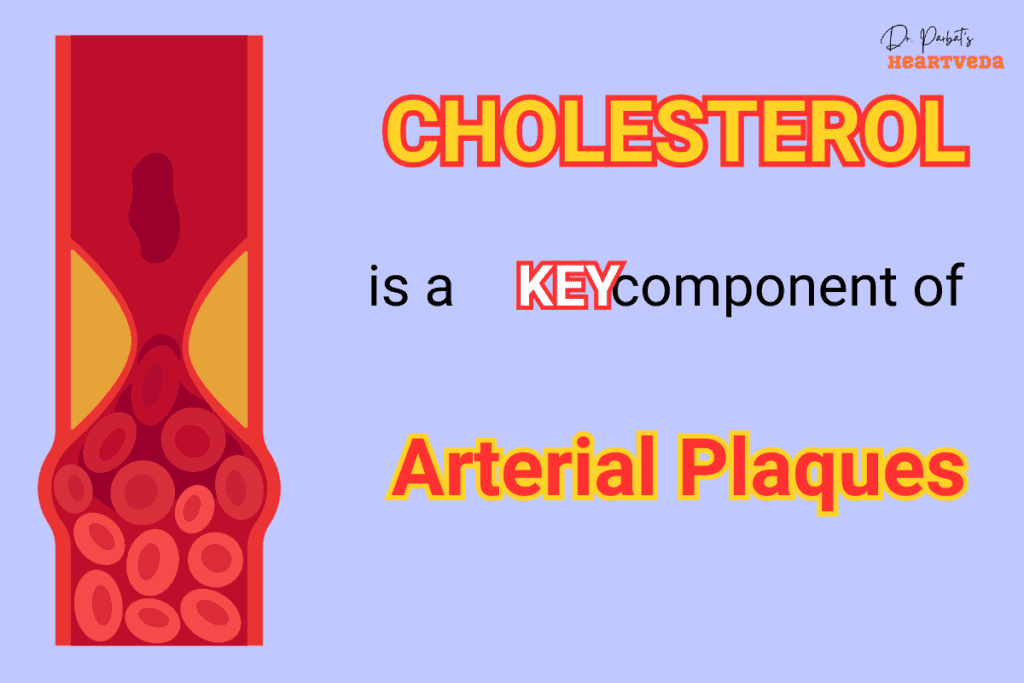 Cholesterol is a key component of Arterial Plaques- Dr. Biprajit Parbat - HEARTVEDA