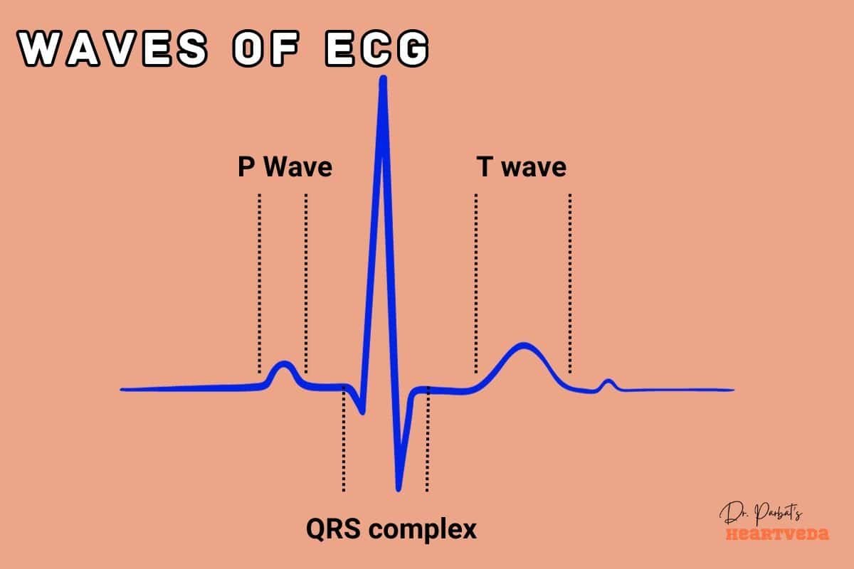 Waves of ECG - Dr. Biprajit Parbat - HEARTVEDA
