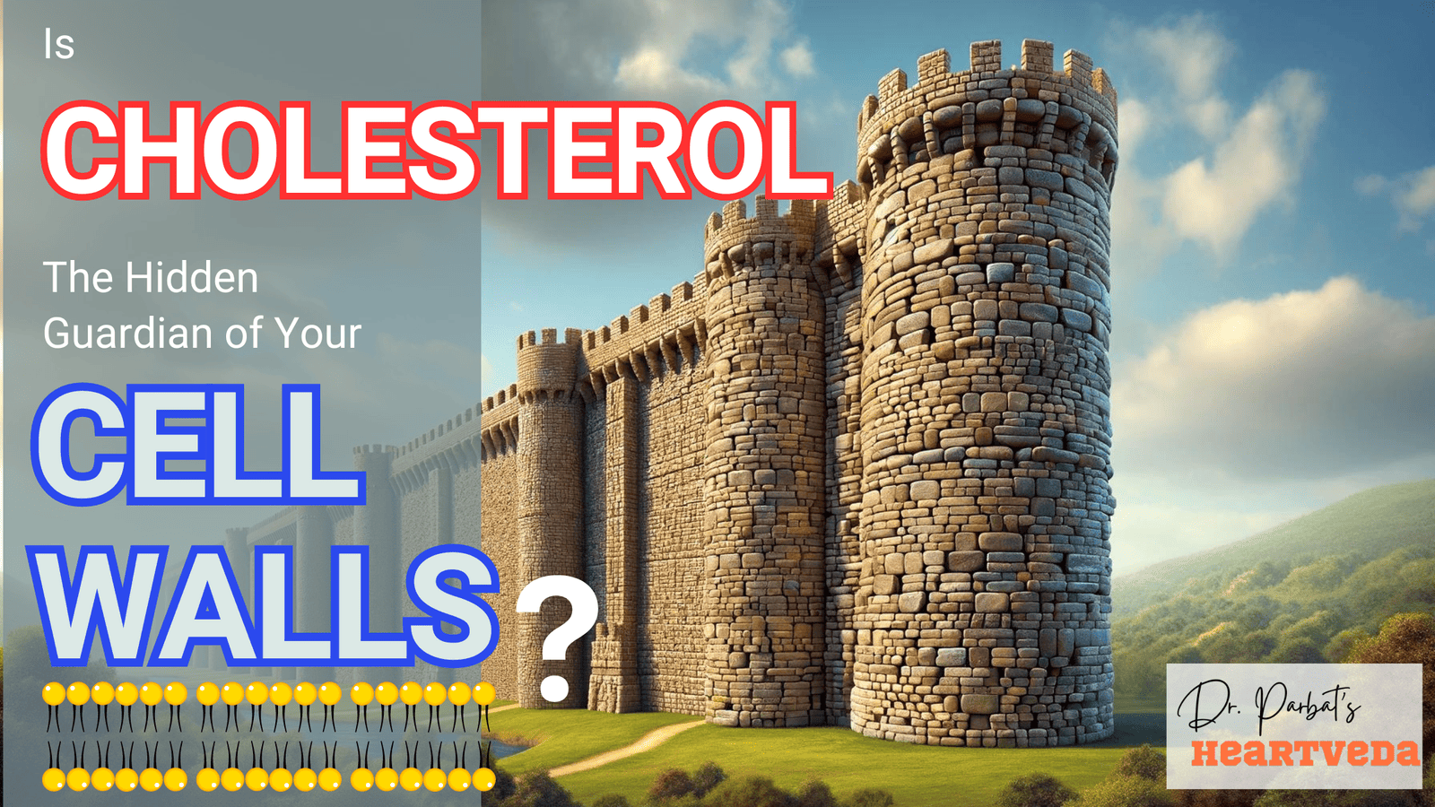 Banner Image: Cholesterol plays a vital role in your body, it is the building material for cell membranes - Dr. Biprajit Parbat - HEARTVEDA