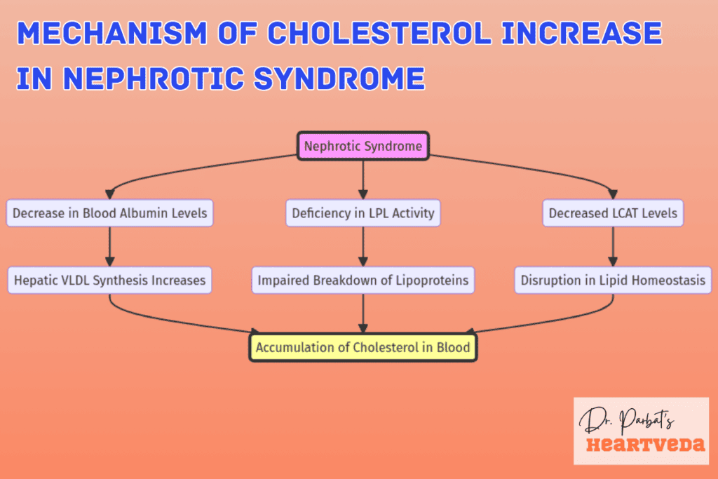 Mechanism of cholesterol increase in nephrotic syndrome - Dr. Biprajit Parbat - HEARTVEDA
