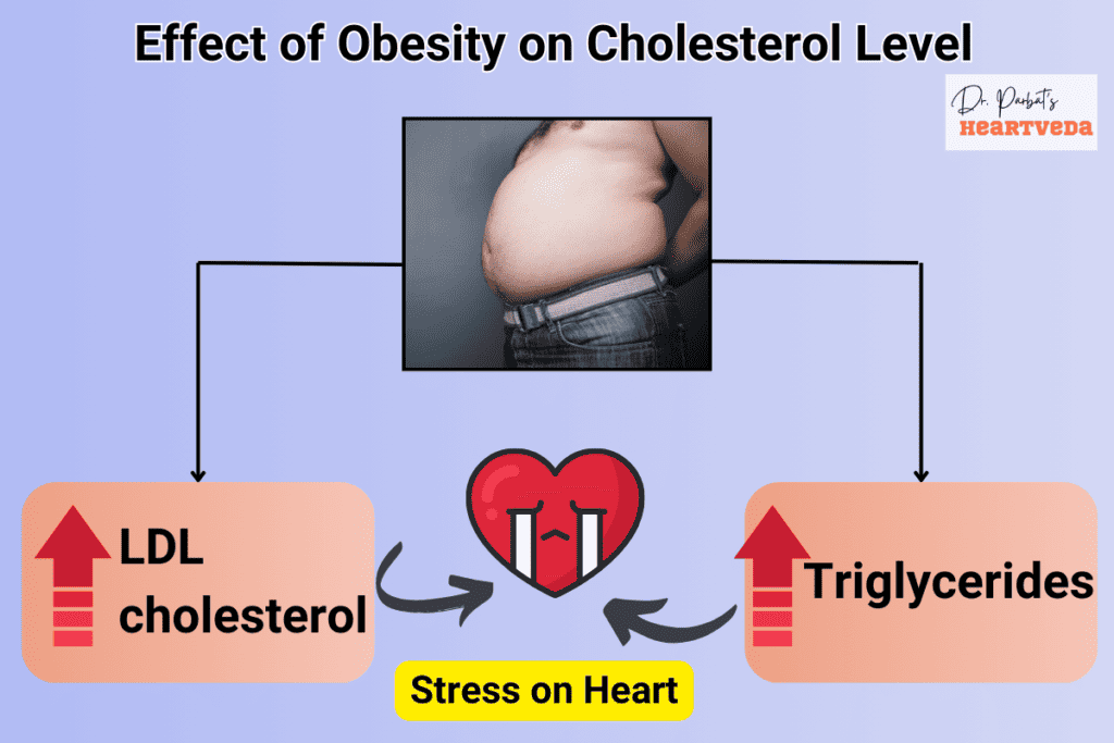Effect of obesity on cholesterol levels - Dr. Biprajit Parbat - HEARTVEDA